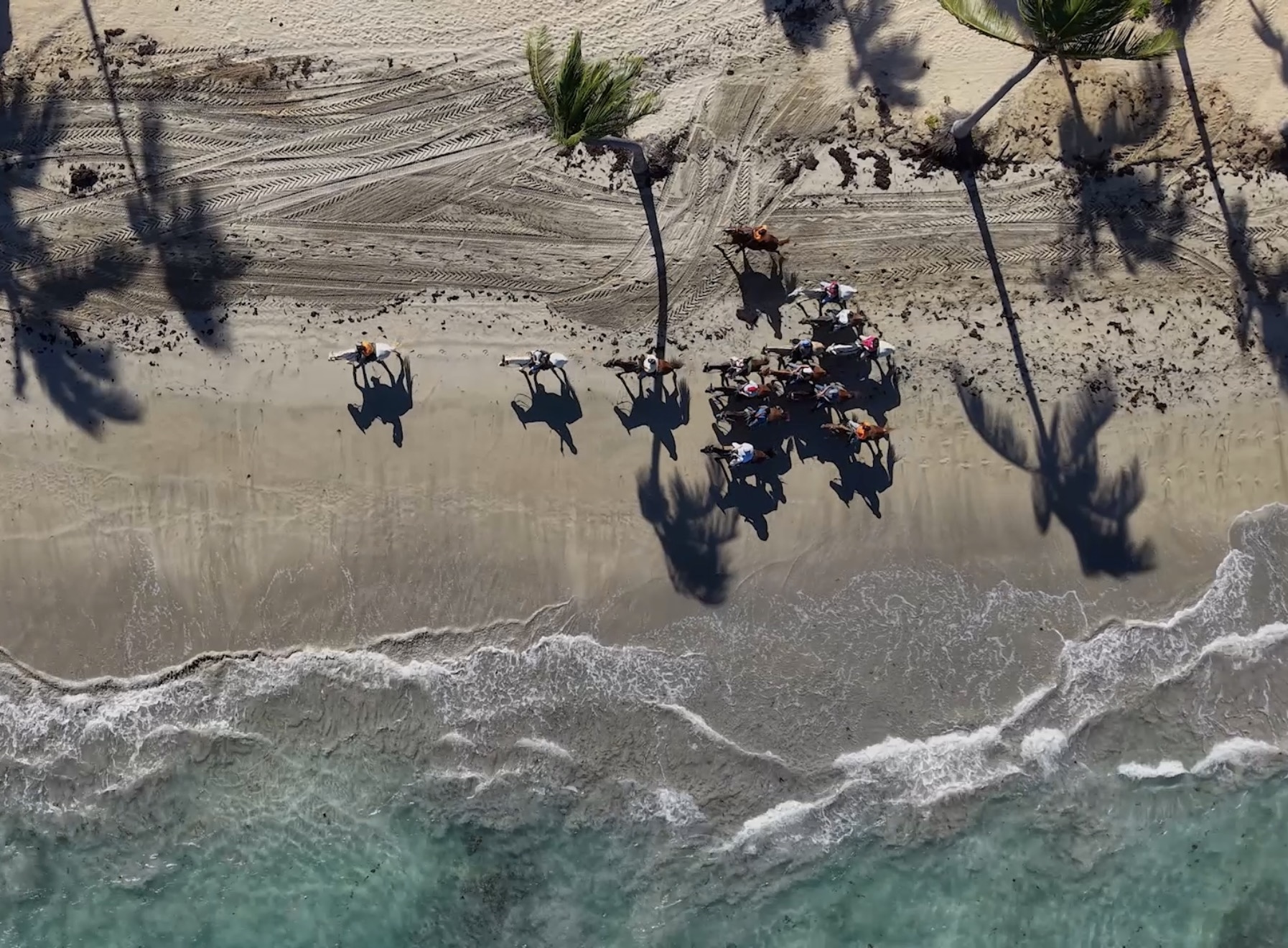 Horseback Riding at Zoëtry Agua Punta Cana