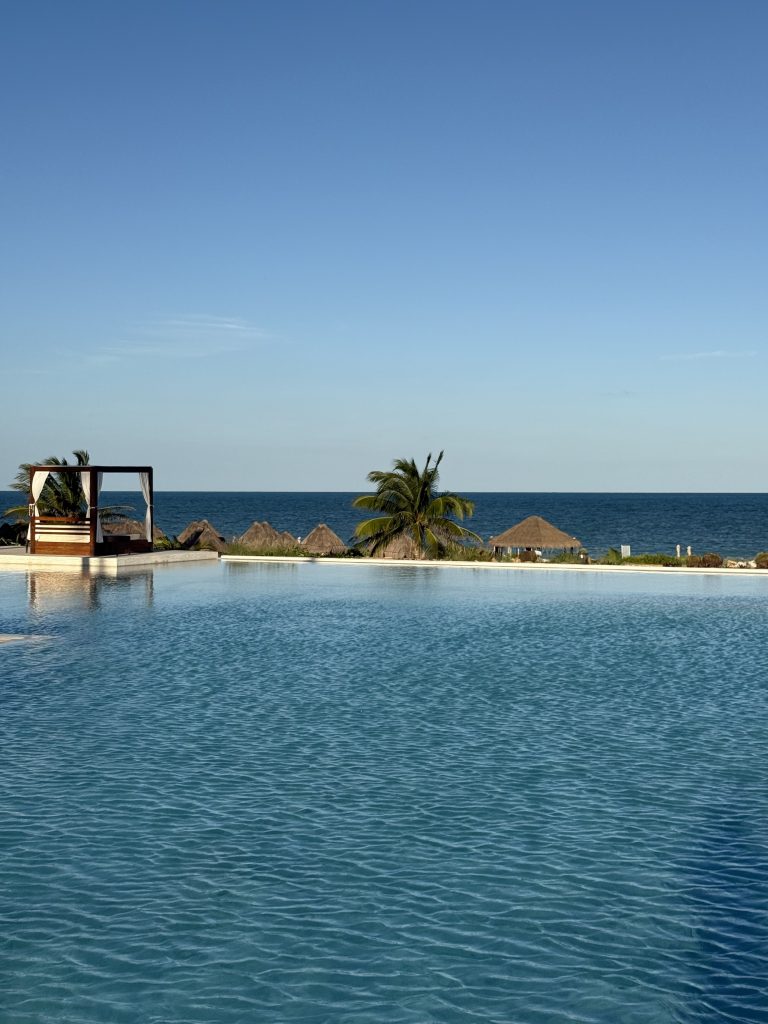 Infinity Pool Secrets Playa Mujeres