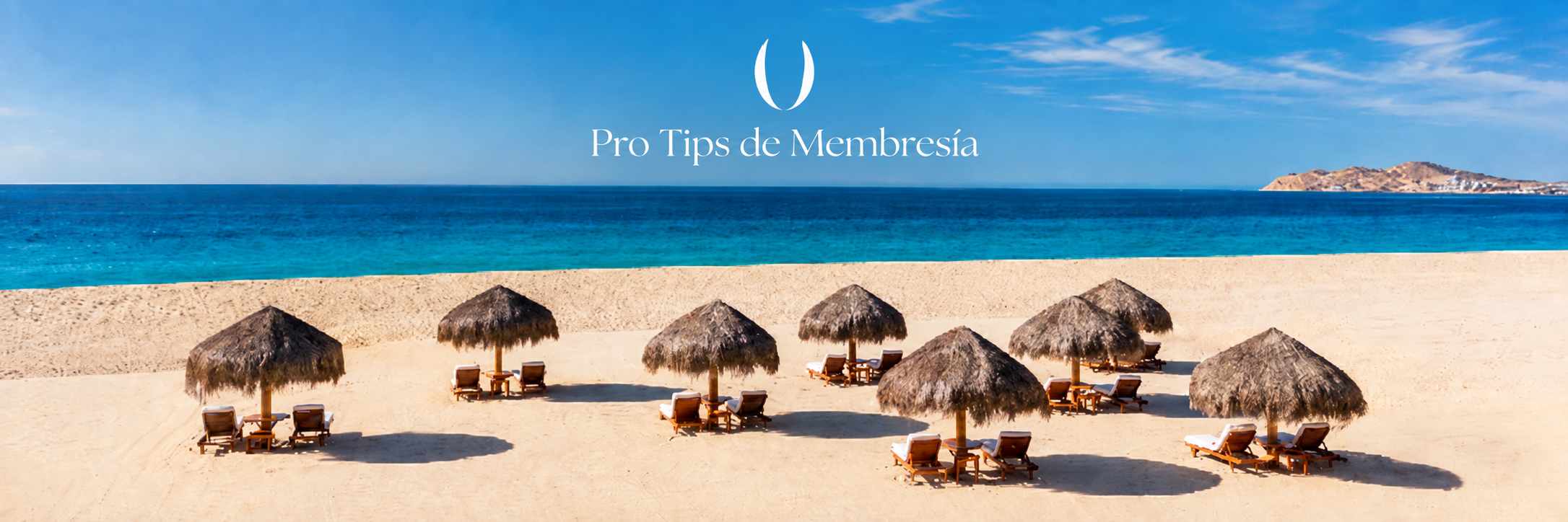 pro tips de membresía en el paraíso pro tips de membresía en el paraíso